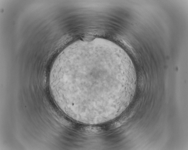 X0000088210261200706121812