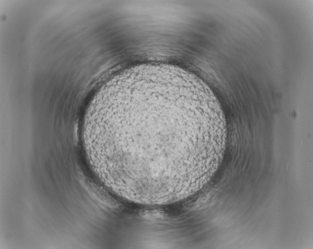 X0000088210262200706121812