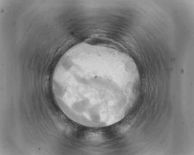 X0000088210263200706121812