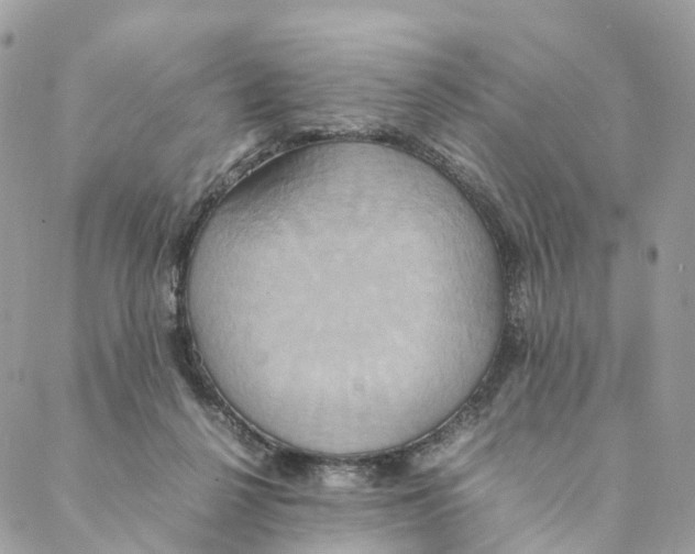 X0000088210264200706121812