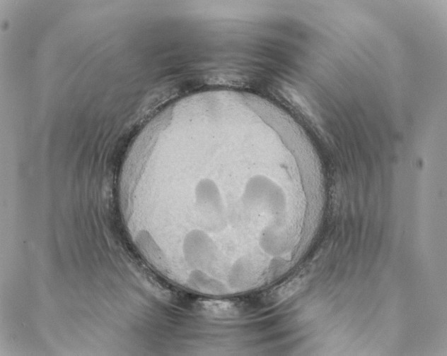 X0000088210265200706121813