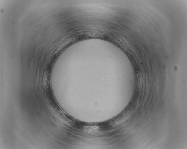 X0000088210266200706121813