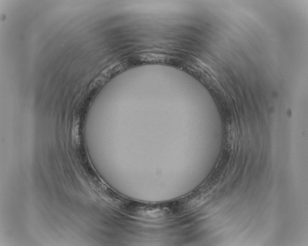 X0000088210267200706121813