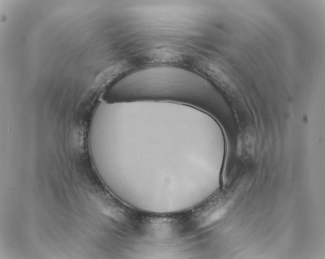 X0000088210268200706121813