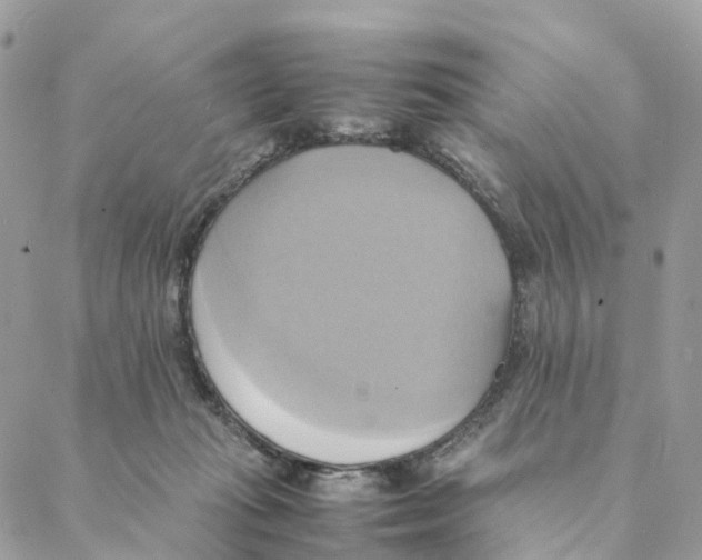 X0000088210269200706121813