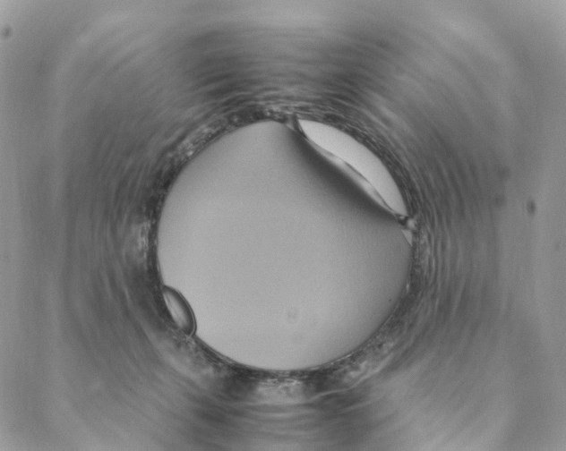 X0000088210271200706121813