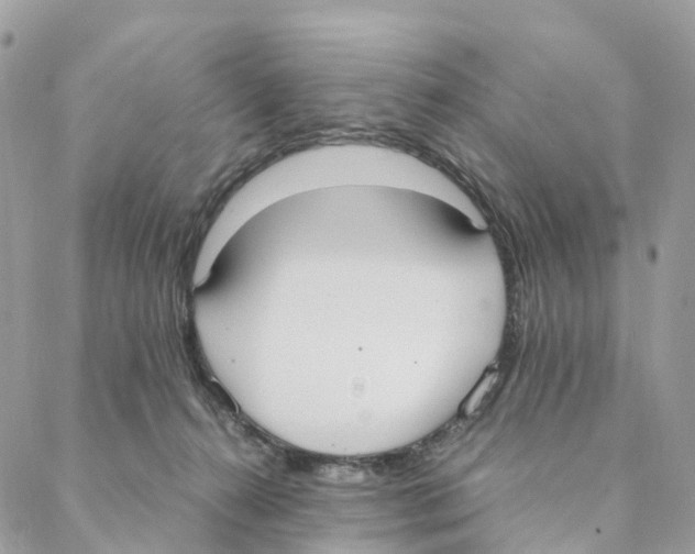 X0000088210272200706121813