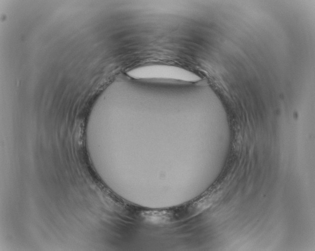 X0000088210273200706121813