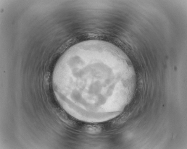 X0000088210275200706121813