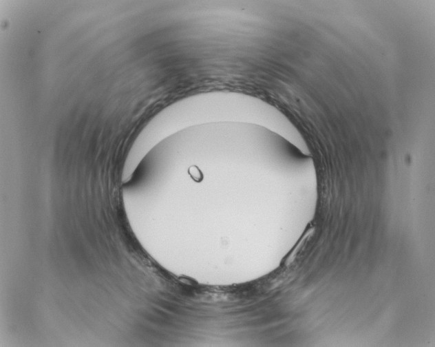 X0000088210276200706121813