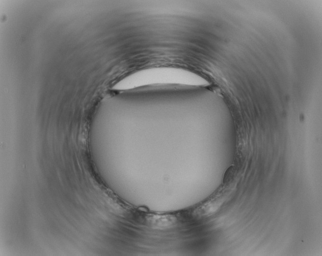 X0000088210277200706121813