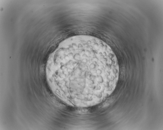 X0000088210278200706121813