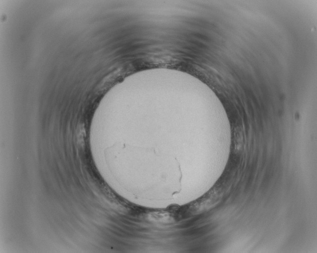 X0000088210279200706121813