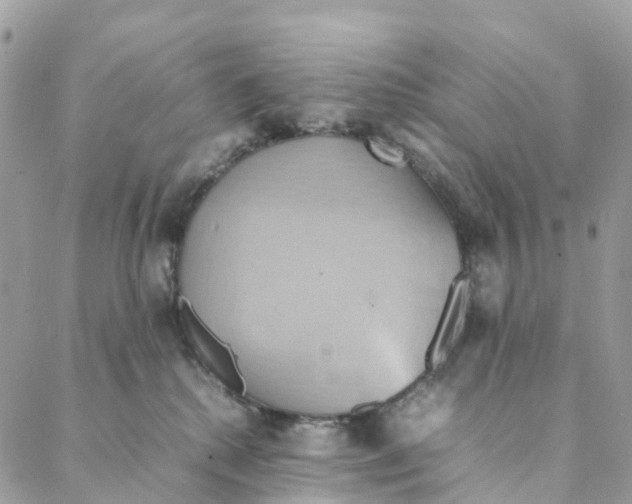 X0000088210280200706121813