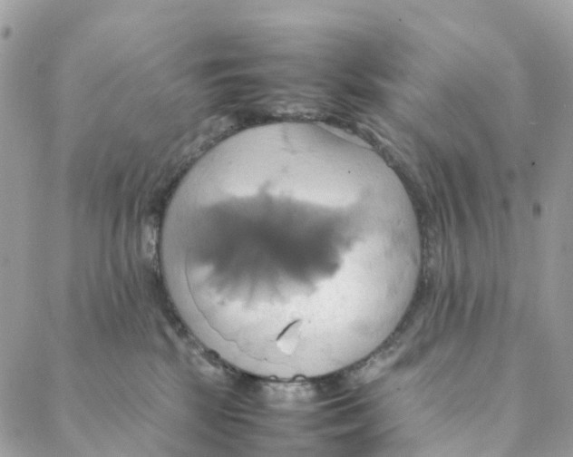 X0000088210281200706121813