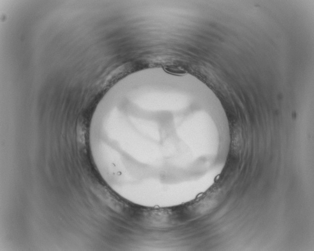 X0000088210282200706121813