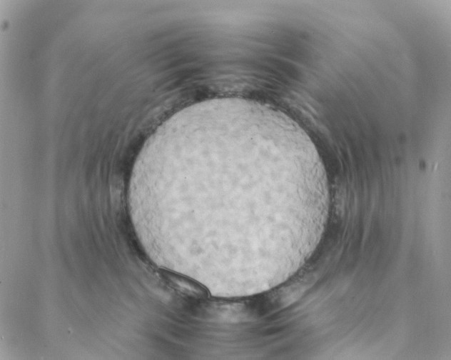 X0000088210283200706121813