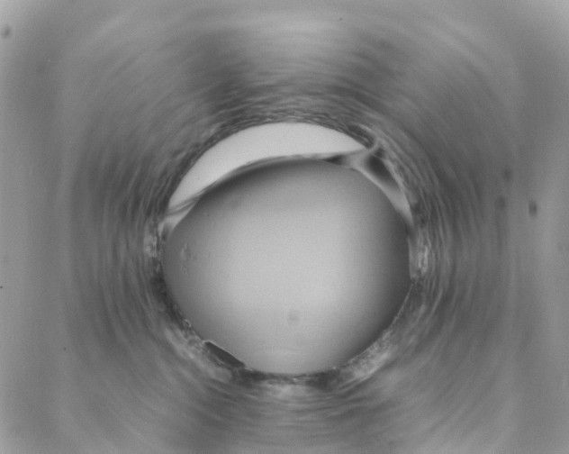 X0000088210284200706121813