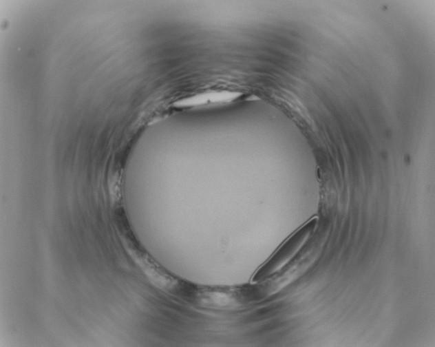 X0000088210285200706121813