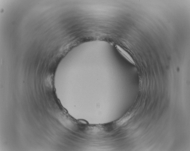 X0000088210286200706121813