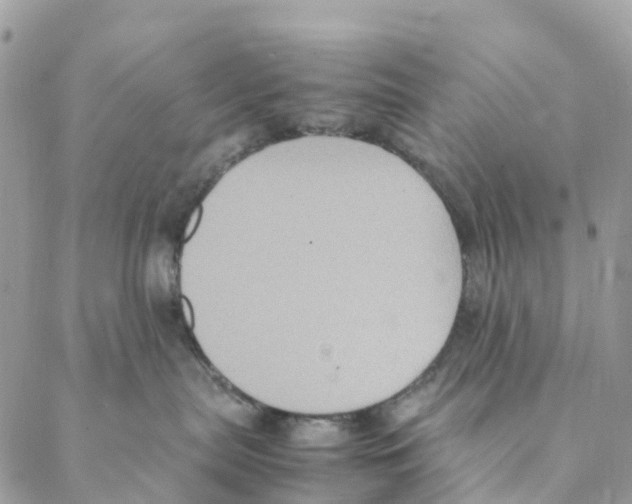 X0000088210287200706121813