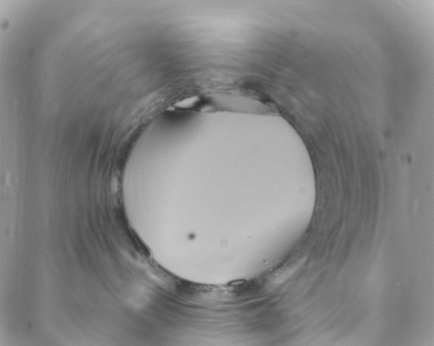 X0000088210288200706121813