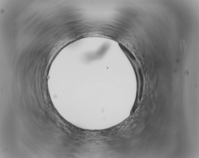 X0000088210289200706121812