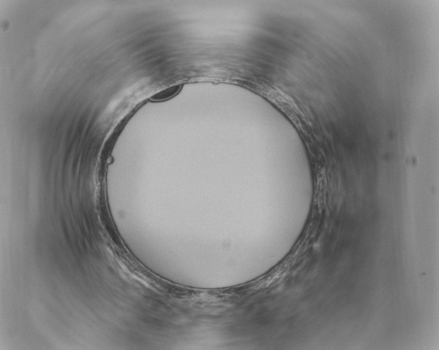 X0000088210290200706121812