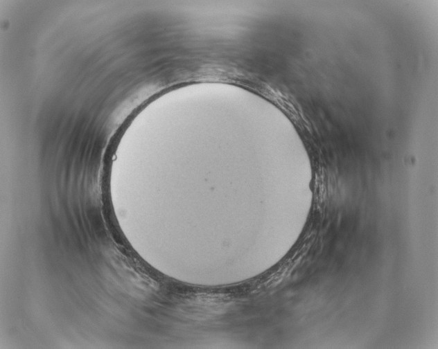 X0000088210292200706121812