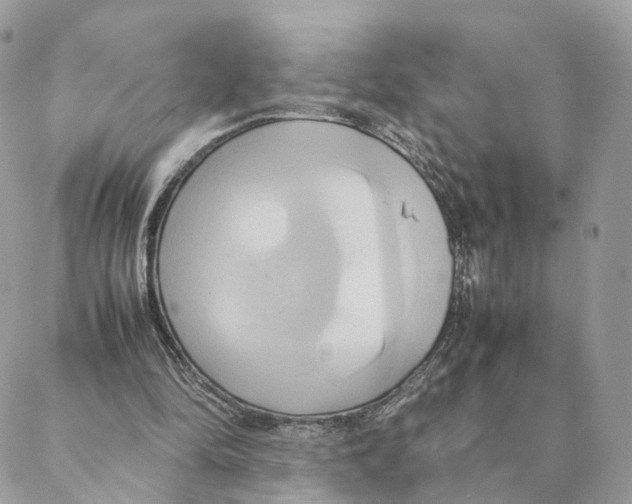 X0000088210294200706121812