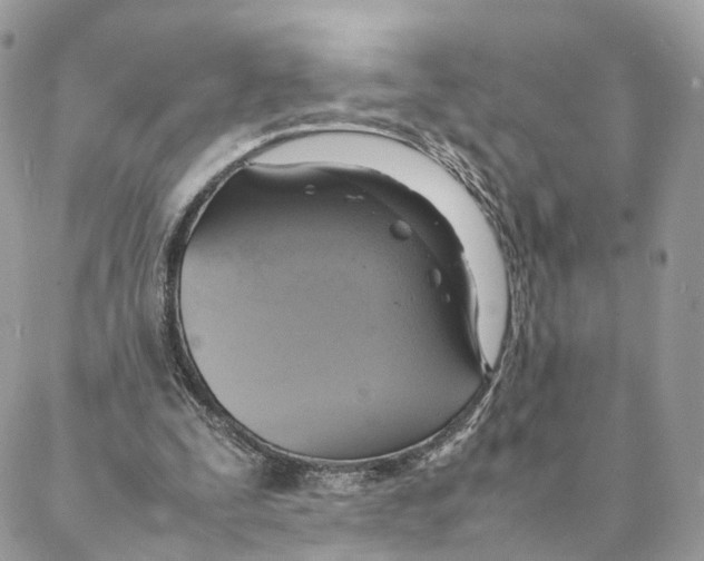 X0000088210295200706121812