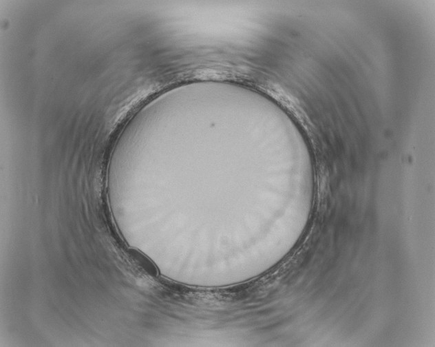 X0000088210297200706121812