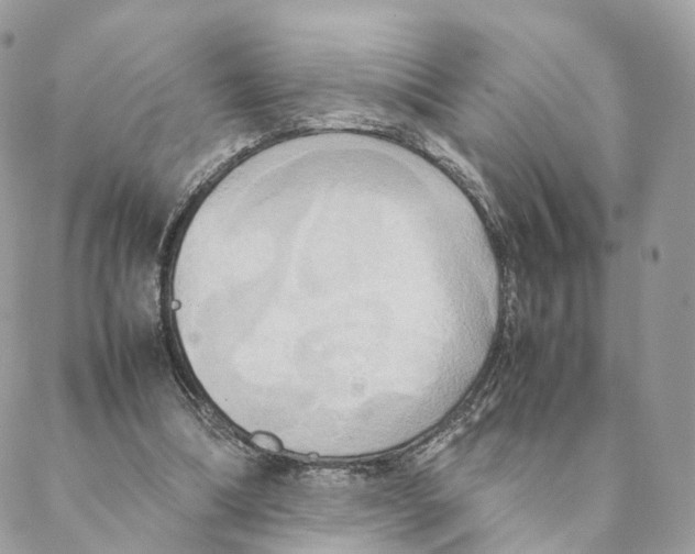 X0000088210298200706121812