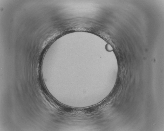 X0000088210299200706121812