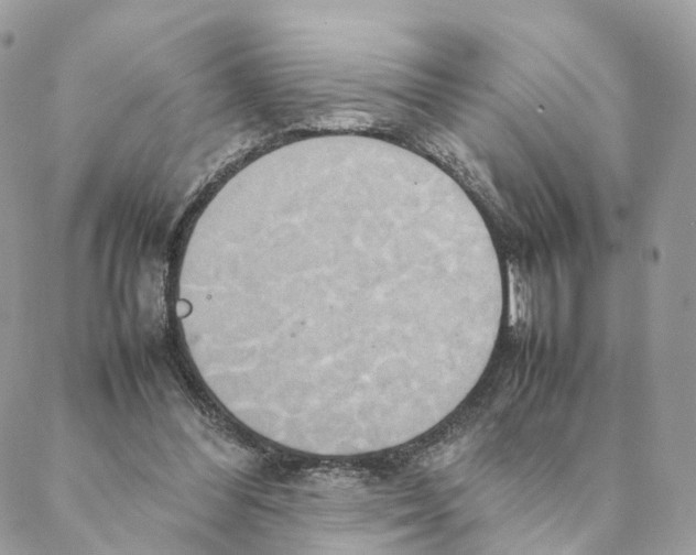 X0000088210300200706121812