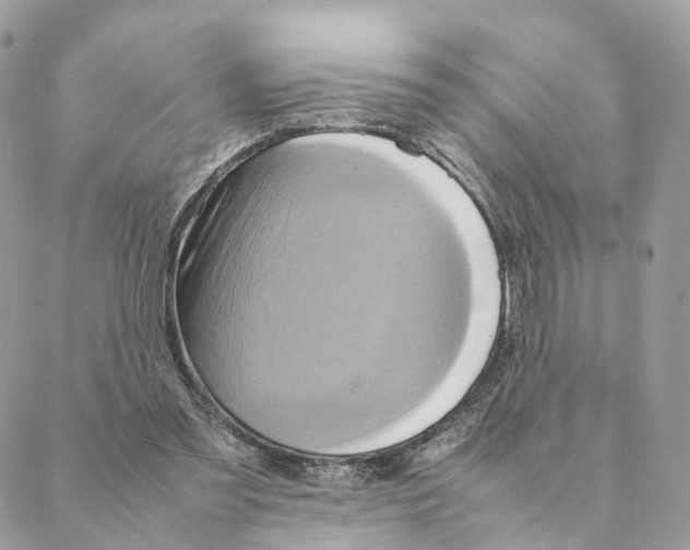 X0000088210301200706121812