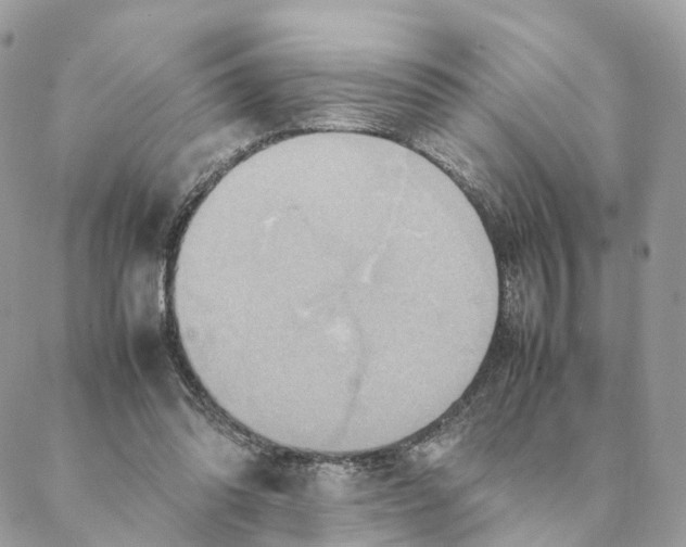 X0000088210302200706121812