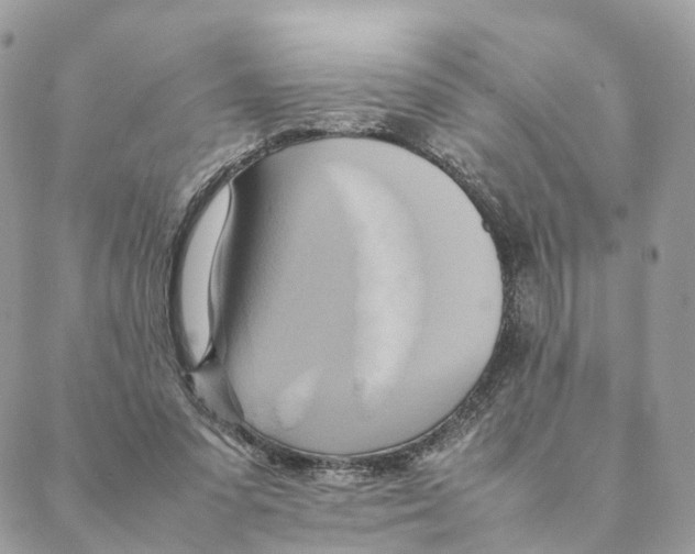 X0000088210303200706121812