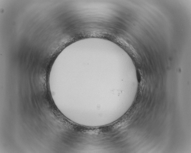 X0000088210306200706121812