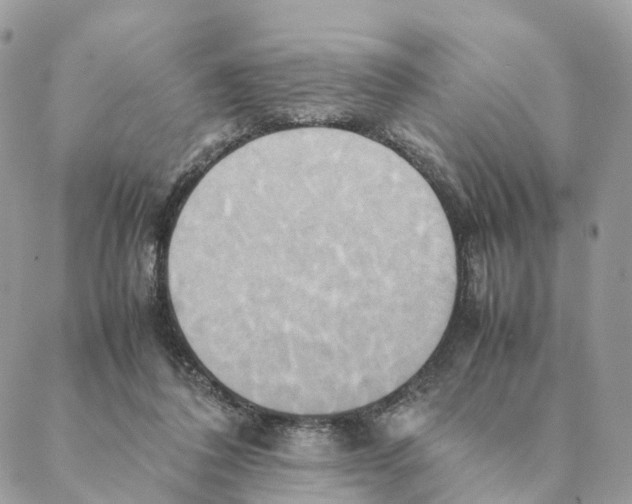 X0000088210308200706121812