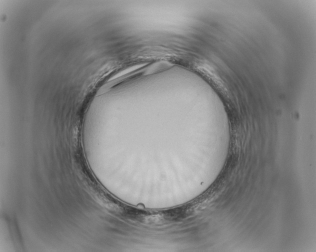 X0000088210309200706121812