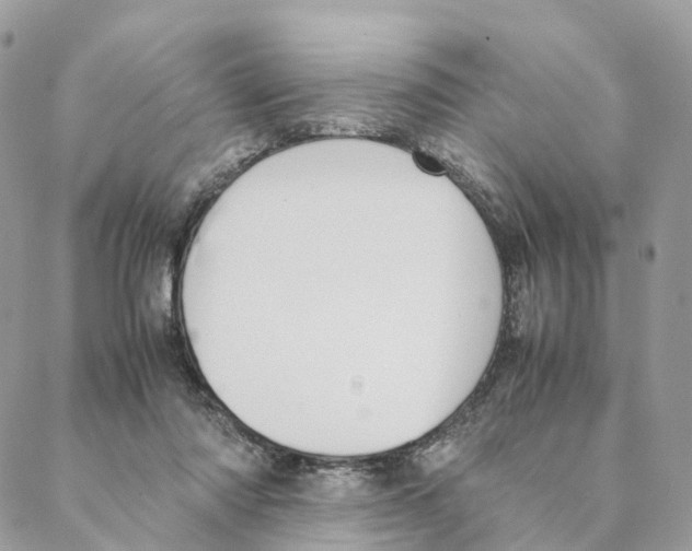 X0000088210310200706121812