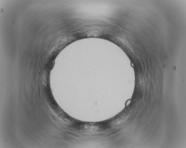 X0000088210311200706121812