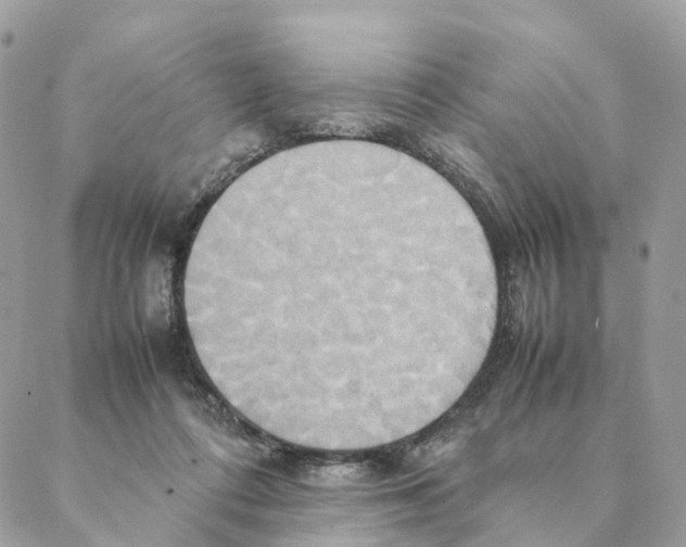 X0000088210312200706121812