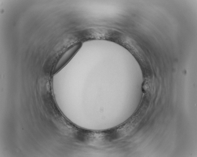 X0000088210313200706121812