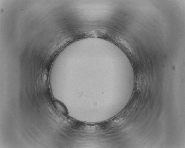 X0000088210314200706121812