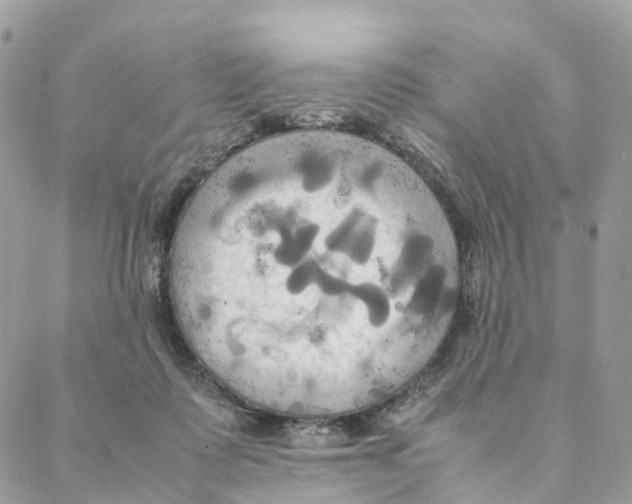 X0000088210315200706121812