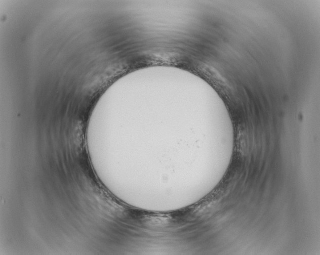 X0000088210318200706121812