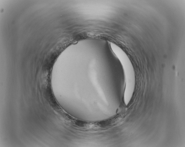 X0000088210319200706121812