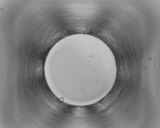 X0000088210320200706121812